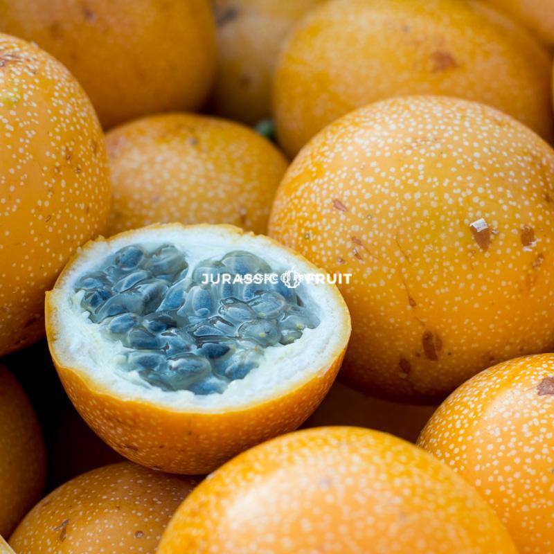 Fruit de la passion orange ou Grenadille
