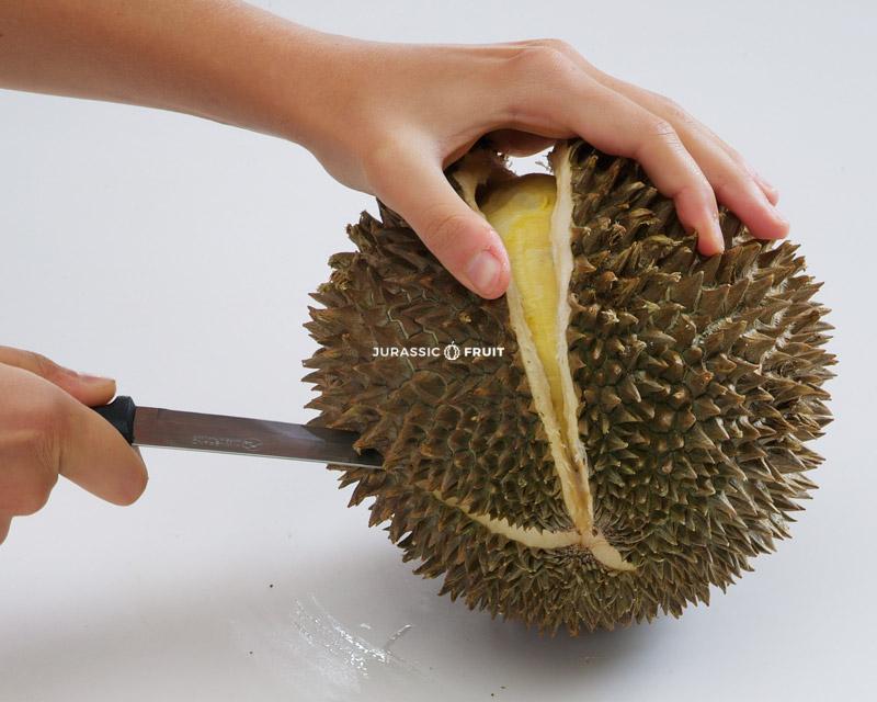 Ouvrir Durian