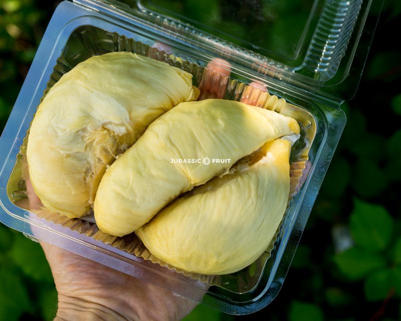 Durian Mon Thong en barquette