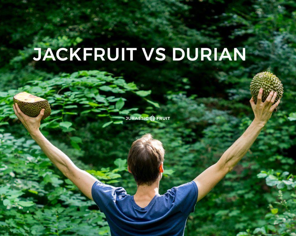 Durian et Jacquier