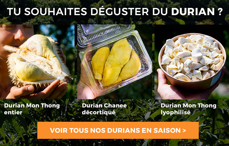 Acheter Durian à Jurassic Fruit
