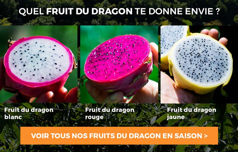 Acheter Fruit du dragon bio