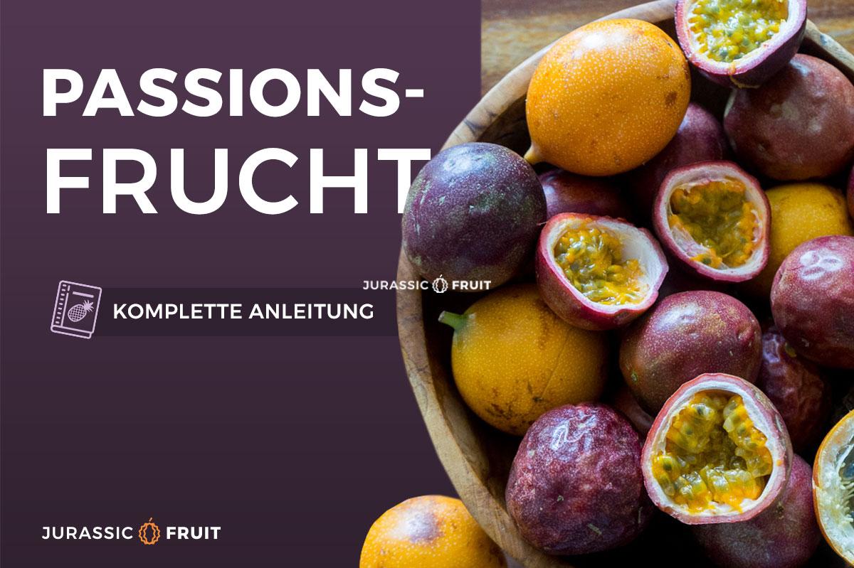 Passionsfrucht Maracuja Nahrstoffe Gesundheit Und Wie Man Sie Isst Jurassic Fruit