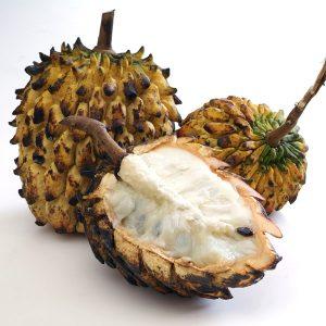Rollinia - fruit tropical