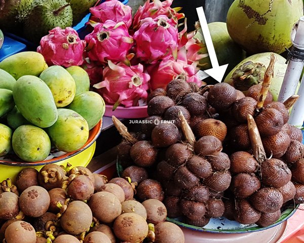 Salak fruit exotique indonésien