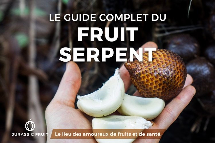 Salak ou Fruit Serpent : le guide complet
