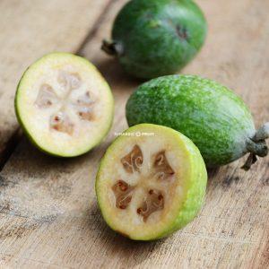 Feijoa (guave frucht)