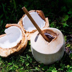 Junge frische Kokosnuss