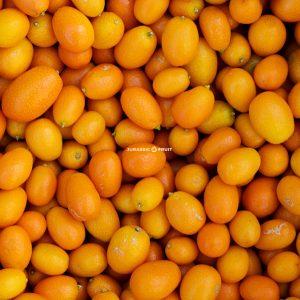 kumquat, le mini agrume