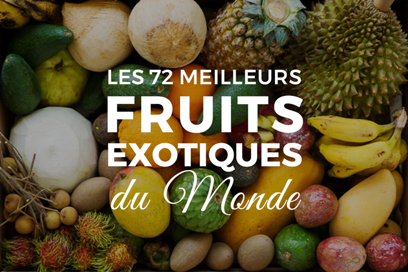 Liste des meilleurs fruits exotiques