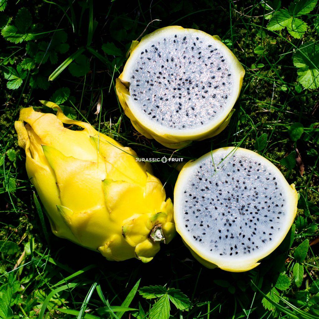 Drachenfrucht gelb